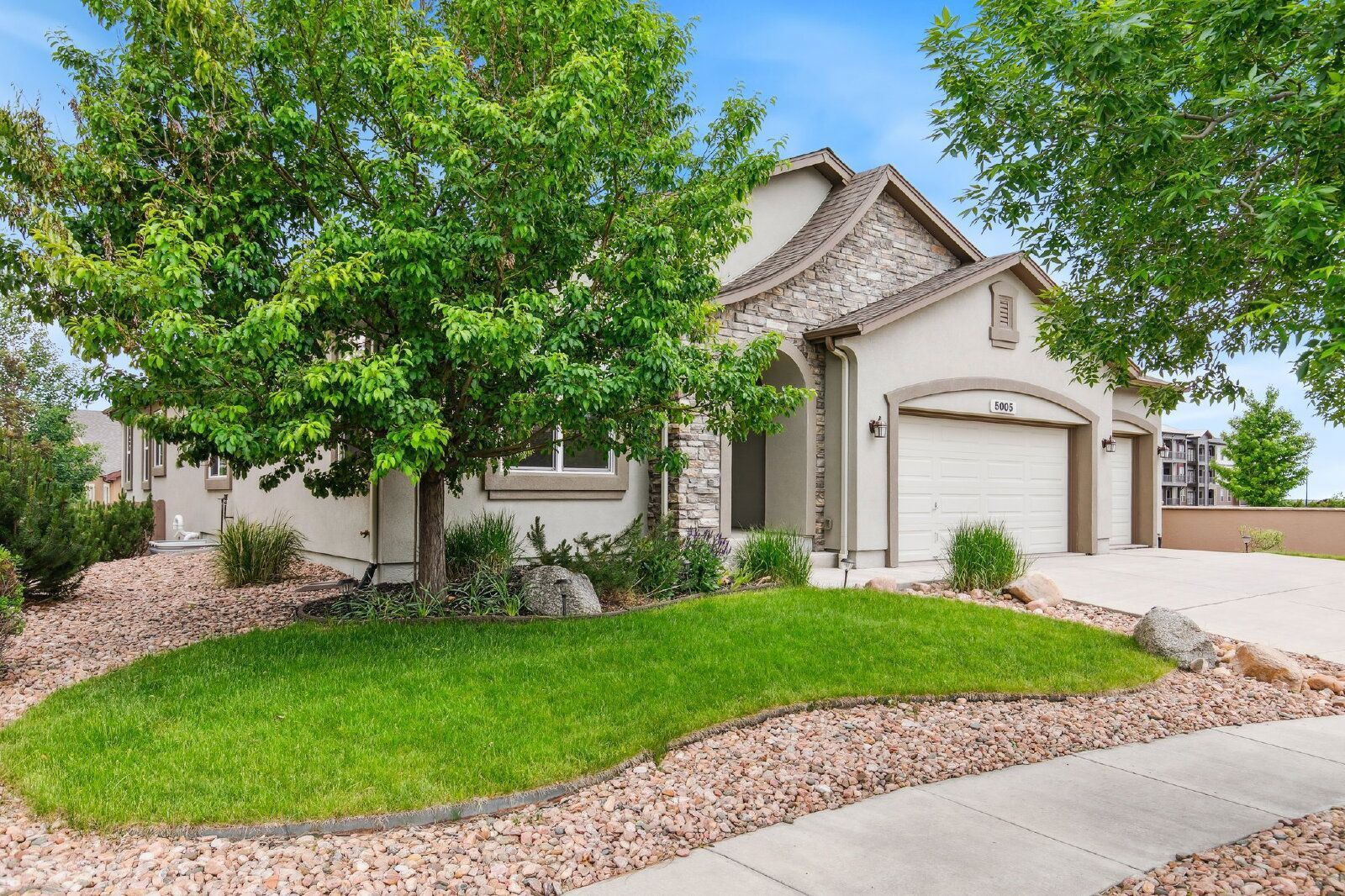 Stylish Cordera Ranch with Finished Basement, Gourmet Kitchen, and Ideal D20 Location property image