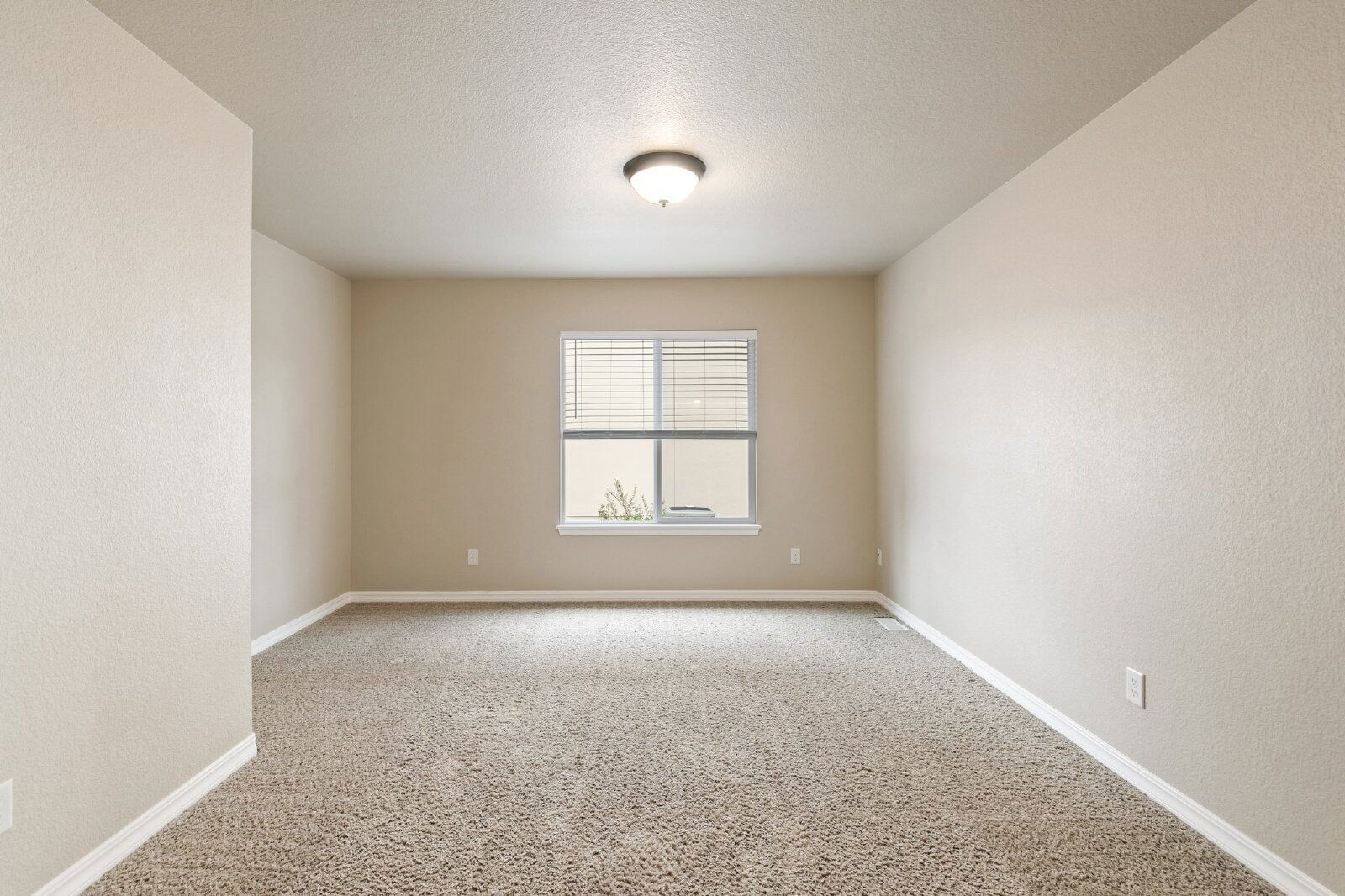 Stylish Cordera Ranch with Finished Basement, Gourmet Kitchen, and Ideal D20 Location property image