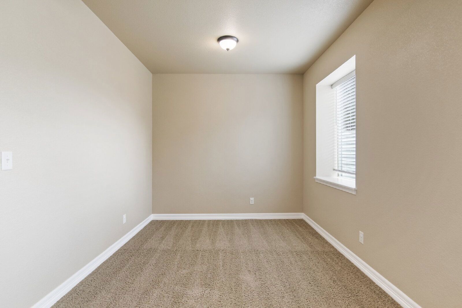 Stylish Cordera Ranch with Finished Basement, Gourmet Kitchen, and Ideal D20 Location property image