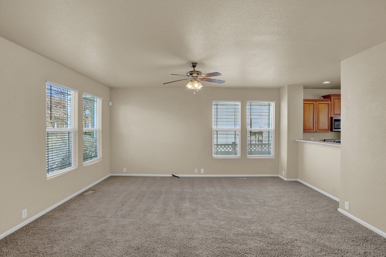 Updated 3-Bedroom Home with Mountain Views and Detached Garage Near Ft. Carson property image