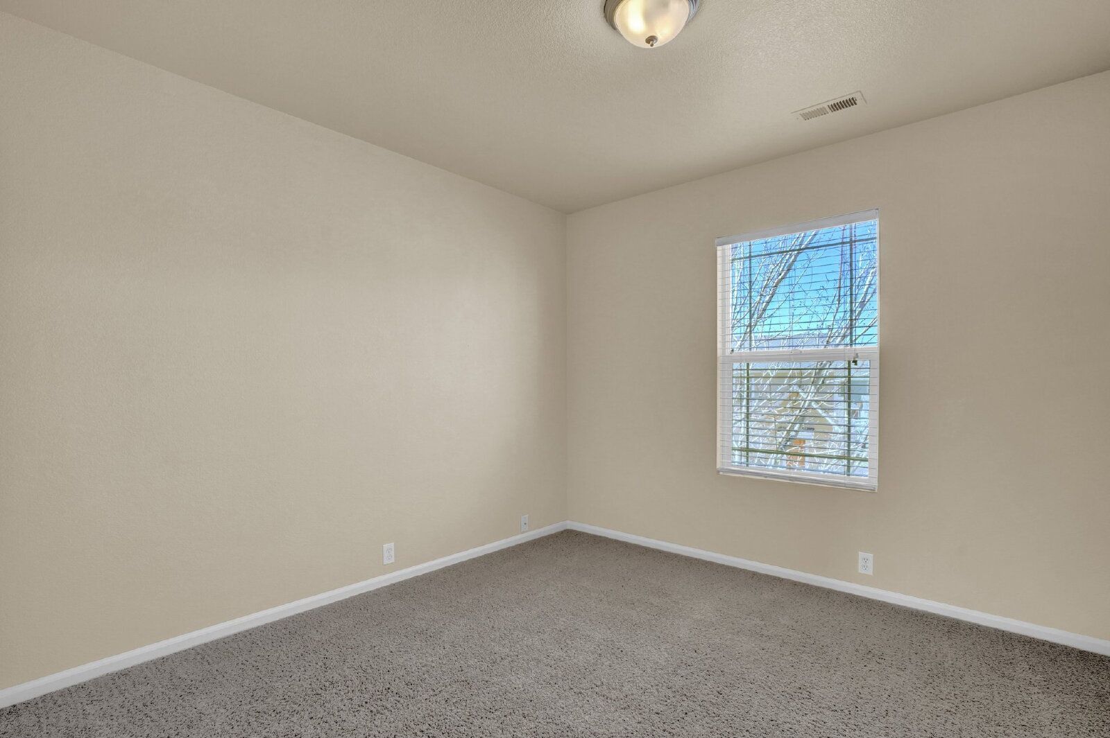 Updated 3-Bedroom Home with Mountain Views and Detached Garage Near Ft. Carson property image