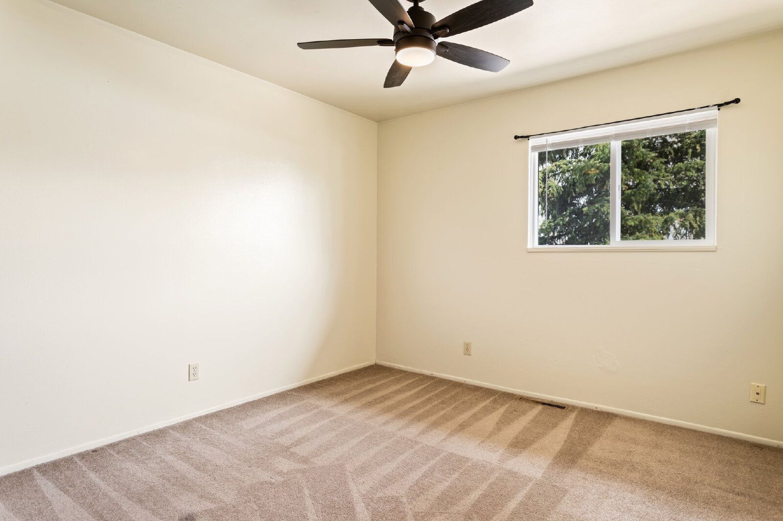 Spacious 3-Bedroom Duplex in the Ivywild Neighborhood – Steps from Ivywild School and Local Hotspots property image