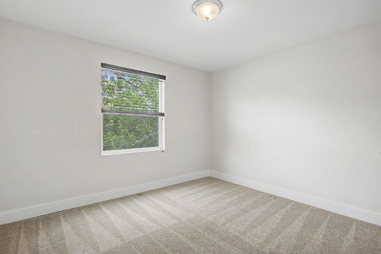 Beautifully Updated 3-Bedroom Capitol Hill Duplex with Detached 2-Car Garage and Owned Solar — A Walker's Paradise in the Heart of Denver property image