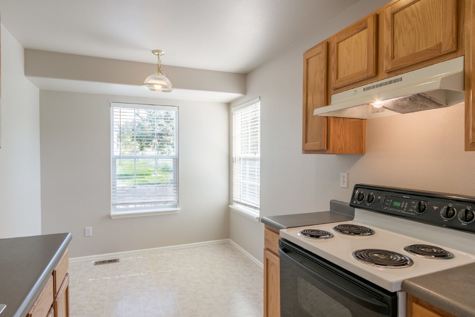 Spacious 3-Bedroom Townhome with Main-Level Primary Suite and Gas Fireplace in Palmer Lake – Water, Sewer & Trash Included property image
