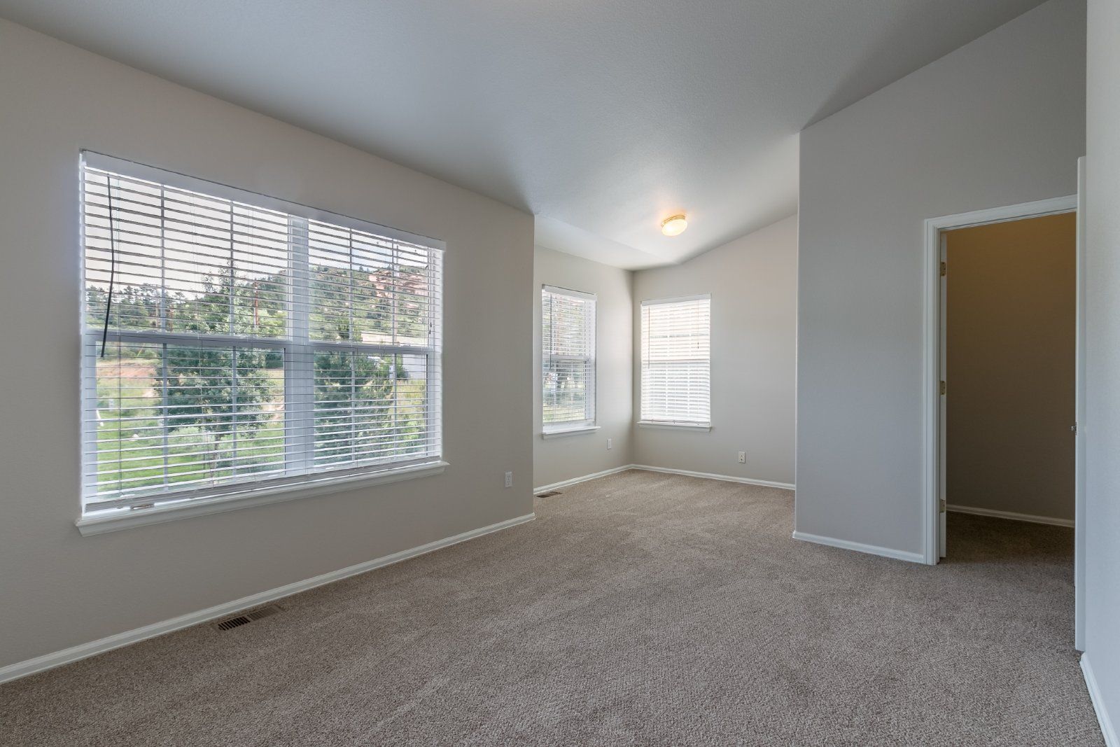 Spacious 3-Bedroom Townhome with Main-Level Primary Suite and Gas Fireplace in Palmer Lake – Water, Sewer & Trash Included property image