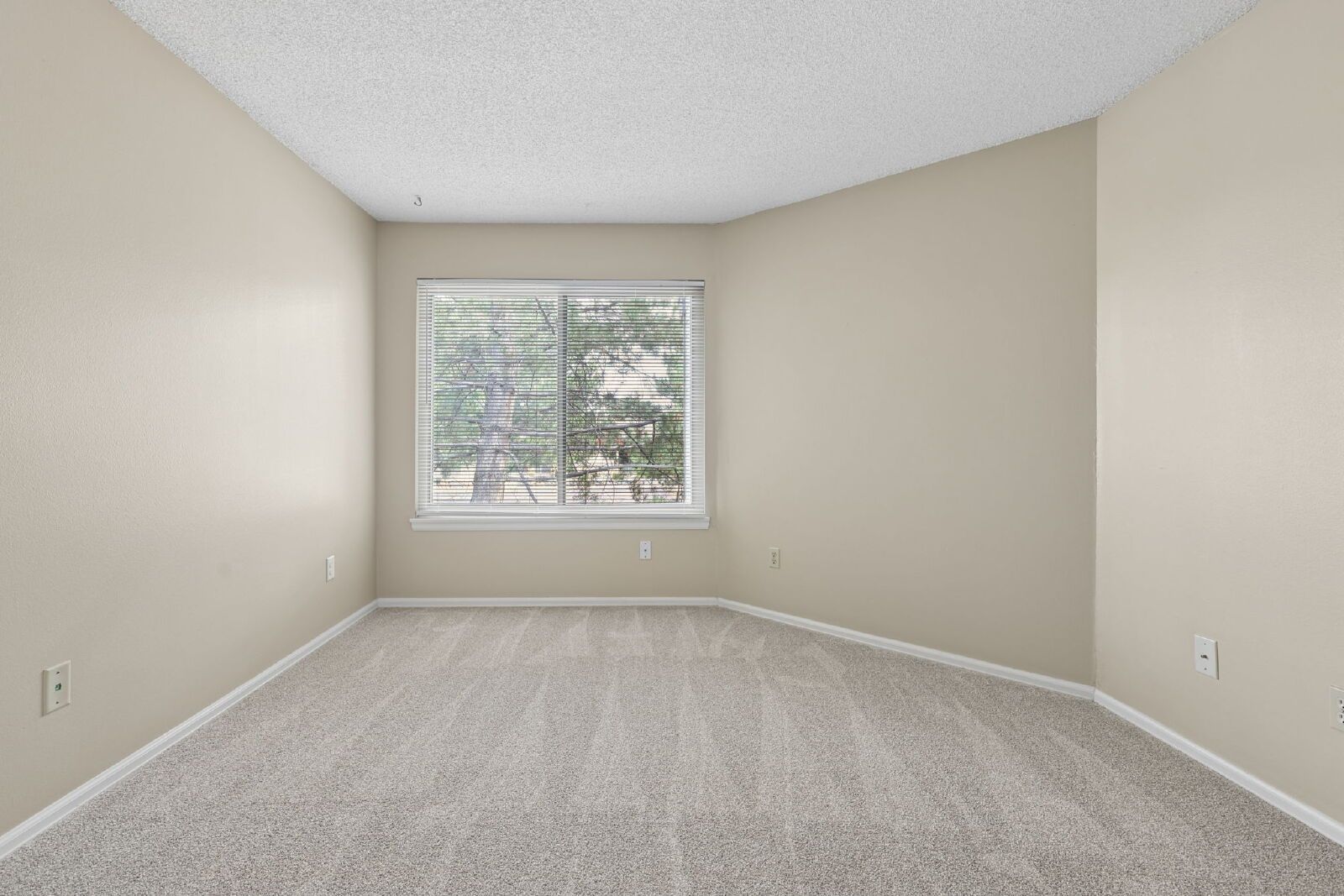 Updated 2-Bedroom Condo with In-Unit Laundry Near Peterson Space Force Base – Water, Sewer & Trash Included property image
