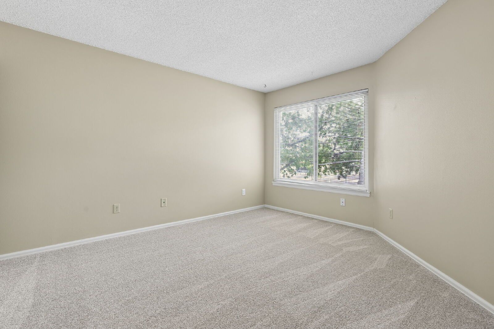 Updated 2-Bedroom Condo with In-Unit Laundry Near Peterson Space Force Base – Water, Sewer & Trash Included property image
